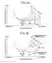 Fig. 18 - Apparatus for controlling the amount of waste heat of an engine