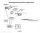 Fig. 02 - Systems and methods for providing optimal sequencing and spacing in an environment of potential wake vortices