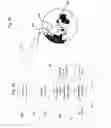 Fig. 08 - EARTH HORIZON SENSOR