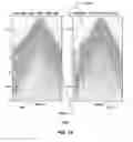 Fig. 19 - Method for performing constrained polarization filtering