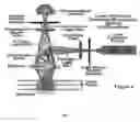 Fig. 02 - Method to build 3D digital models of porous media using transmitted laser scanning confocal mircoscopy and multi-point statistics
