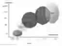 Fig. 04 - Method to build 3D digital models of porous media using transmitted laser scanning confocal mircoscopy and multi-point statistics