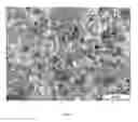 Fig. 07 - Method to build 3D digital models of porous media using transmitted laser scanning confocal mircoscopy and multi-point statistics