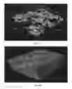Fig. 10 - Method to build 3D digital models of porous media using transmitted laser scanning confocal mircoscopy and multi-point statistics