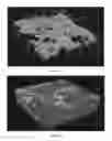 Fig. 11 - Method to build 3D digital models of porous media using transmitted laser scanning confocal mircoscopy and multi-point statistics