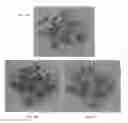 Fig. 13 - Method to build 3D digital models of porous media using transmitted laser scanning confocal mircoscopy and multi-point statistics
