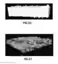 Fig. 19 - Method to quantify discrete pore shapes, volumes, and surface areas using confocal profilometry