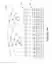 Fig. 14 - Systems and methods of improved boolean forms