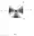 Fig. 03 - Display of modeled magnetic fields