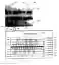 Fig. 06 - METHOD FOR COMPENSATION OF RESPONSES FROM EDDY CURRENT PROBES