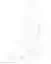 Fig. 29 - Neuromorphic Circuit