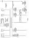 Fig. 08 - SYSTEM FOR AND METHOD OF DISTRIBUTING DEVICE INFORMATION IN AN INTERNET PROTOCOL MULTIMEDIA SUBSYSTEM (IMS)