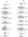 Fig. 03 - Method and apparatus for gathering and organizing information pertaining to an entity