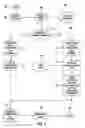 Fig. 04 - Method and apparatus for gathering and organizing information pertaining to an entity