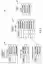 Fig. 06 - Method and apparatus for gathering and organizing information pertaining to an entity
