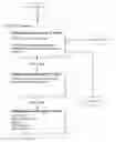 Fig. 01 - System and process for record duplication analysis