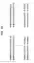 Fig. 31 - Shift calculator