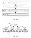 Fig. 13 - APPARATUS FOR  STREAMLINED  IMPLEMENTATION OF INTERPOLATION IN MULTIPLE  DIMENSIONS