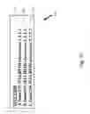 Fig. 06 - Provisioning and redundancy for RFID middleware servers