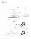 Fig. 12 - Vector-based magnified pointer