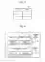 Fig. 06 - Wireless communication system, wireless host, and wireless device