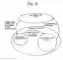 Fig. 08 - Wireless communication system, wireless host, and wireless device