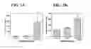 Fig. 03 - Compositions and methods for osteogenic gene therapy