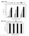 Fig. 05 - Compositions and methods for osteogenic gene therapy