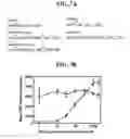 Fig. 09 - Compositions and methods for osteogenic gene therapy