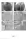 Fig. 04 - Method for manufacturing animal model for researching pulmonary tumor and use thereof