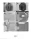 Fig. 05 - Method for manufacturing animal model for researching pulmonary tumor and use thereof