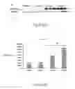 Fig. 09 - Method for manufacturing animal model for researching pulmonary tumor and use thereof