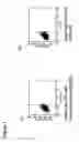 Fig. 04 - Method for the separation of cells