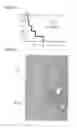 Fig. 05 - Method of identifying a compound for preventing and/or treating an autoimmune disease