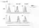 Fig. 07 - Method of identifying a compound for preventing and/or treating an autoimmune disease