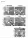 Fig. 12 - Method of identifying a compound for preventing and/or treating an autoimmune disease
