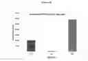 Fig. 11 - Methods and Compositions for Increasing the Nitrogen Storage Capacity of a Plant