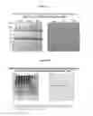 Fig. 13 - Methods and Compositions for Increasing the Nitrogen Storage Capacity of a Plant