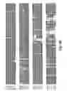 Fig. 06 - COMPOSITIONS AND METHODS FOR MODULATION OF PLANT CELL DIVISION
