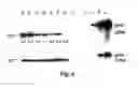 Fig. 10 - COMPOSITIONS AND METHODS FOR MODULATION OF PLANT CELL DIVISION