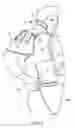 Fig. 05 - Flotation Body Armor System