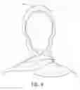 Fig. 05 - COMBINATION HOOD AND SCARF GARMENT