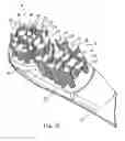 Fig. 13 - Electric toothbrush and toothbrush head