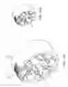 Fig. 12 - Tissue prosthesis processing technology