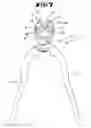 Fig. 06 - Pliers as middle cutter or side cutter