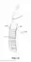 Fig. 10 - Article of footwear with thong portion including grooves