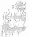 Fig. 17 - Muntin Clip