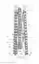 Fig. 02 - Leg for a self-supporting tower