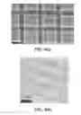 Fig. 04 - Cold cathodes and ion thrusters and methods of making and using same