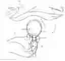 Fig. 01 - ARTICLE FOR LOCKING AN ACCESSORY TO A PHYSICAL STRUCTURE USING A SEPARATE LOCKING DEVICE AND THE COMBINATION THEREOF